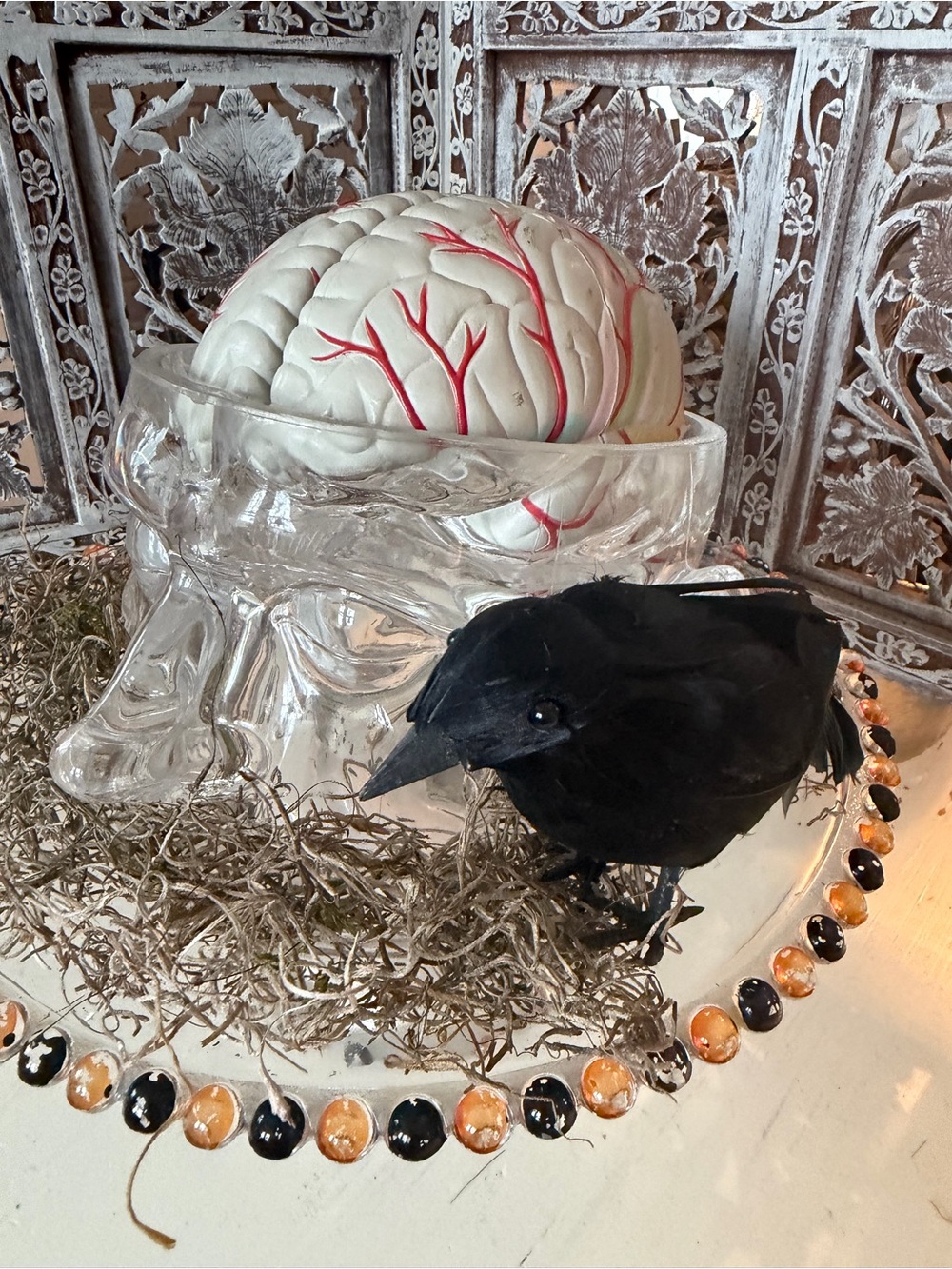 Life Size Human Brain Model in Lucite Head